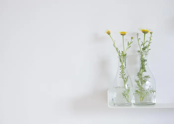 Del Sol Mykonos דירה *