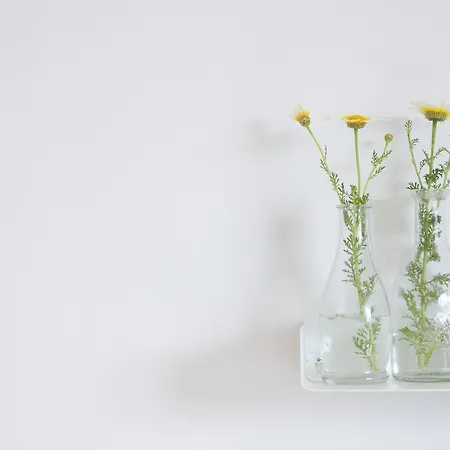 Del Sol Mykonos Apartament *